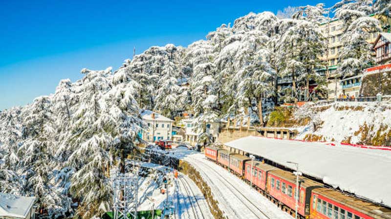 Shimla honeymoon packages from Chennai, Romantic Shimla tour for couples, Affordable Shimla honeymoon trips