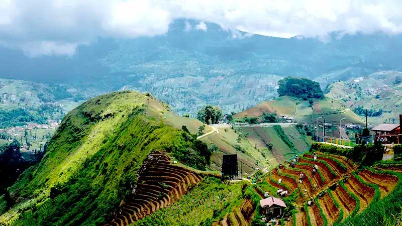 Kodaikanal honeymoon packages from Chennai, Romantic Kodaikanal tour for couples, Affordable Kodaikanal honeymoon trips