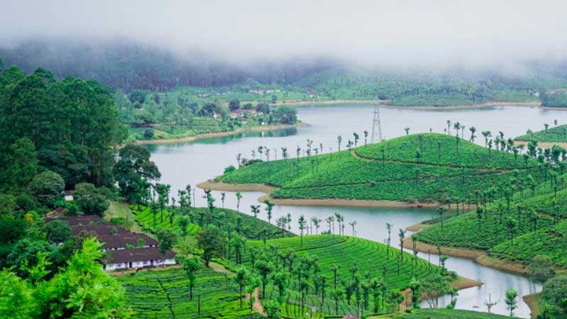 Valparai tour package from Chennai, Chennai to Valparai holiday package, Valparai car rental from Chennai