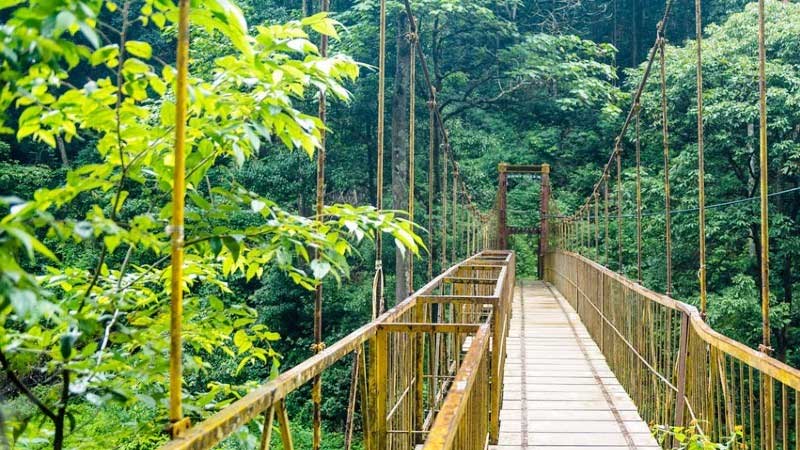 Coorg tour package from Chennai, Chennai to Coorg holiday package, Coorg car rental from Chennai